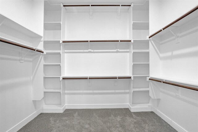 walk in closet with carpet