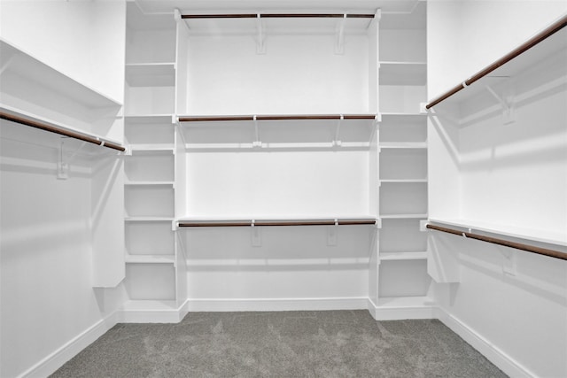 walk in closet with carpet floors