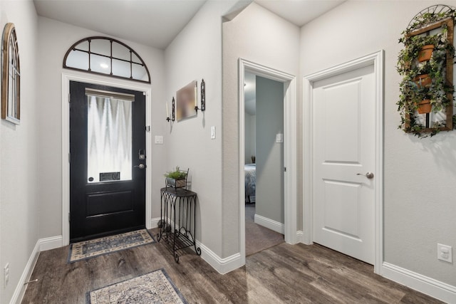 entryway featuring dark wood-type flooring