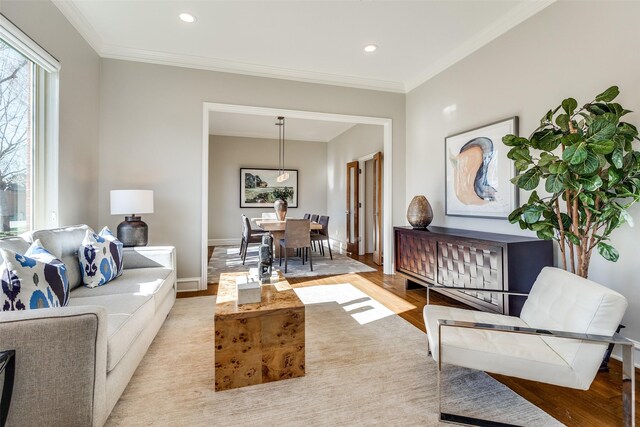 living room featuring light hardwood / wood-style floors and crown molding