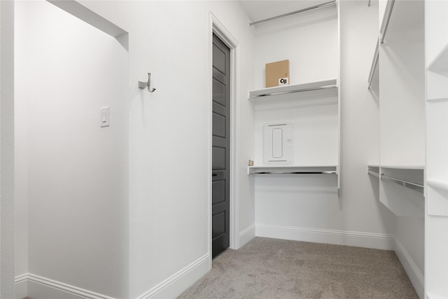 spacious closet with light carpet