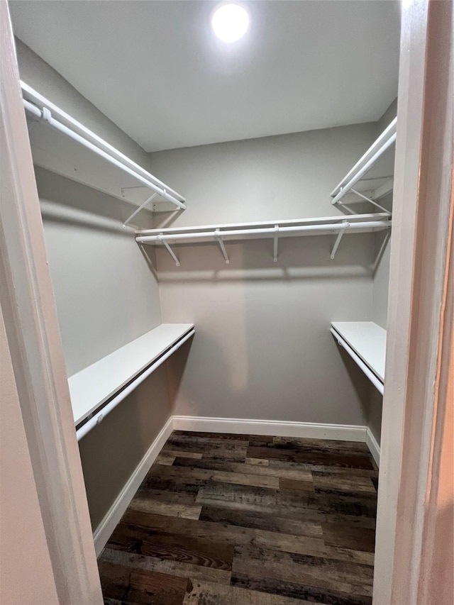 spacious closet featuring dark wood-type flooring