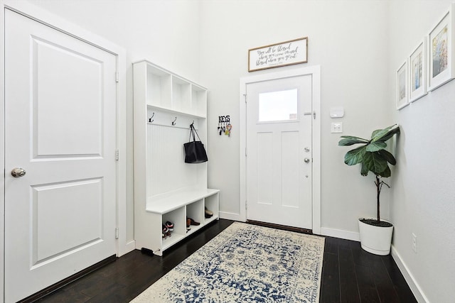 mudroom featuring dark hardwood / wood-style flooring