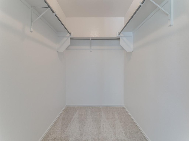 walk in closet featuring light carpet