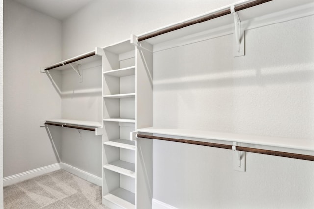 spacious closet with light colored carpet