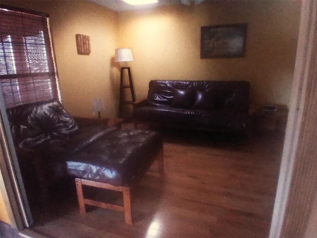 living room with wood-type flooring