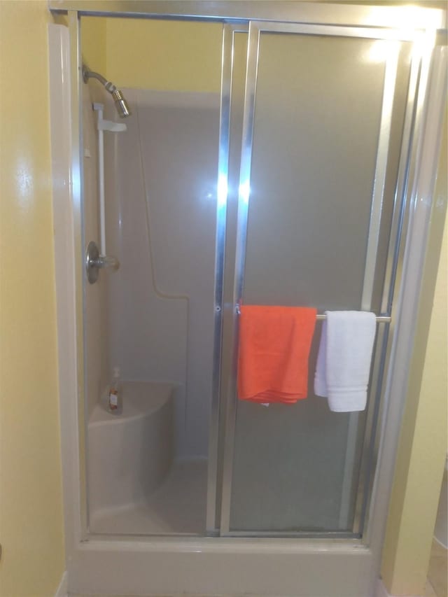 bathroom featuring a shower with shower door