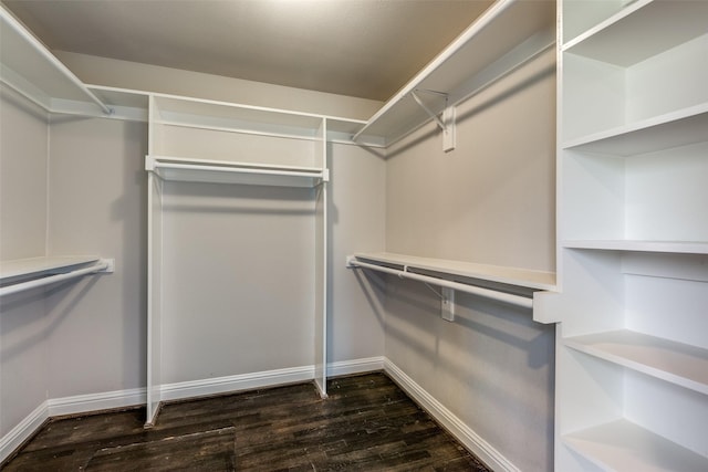 walk in closet with dark wood-style flooring