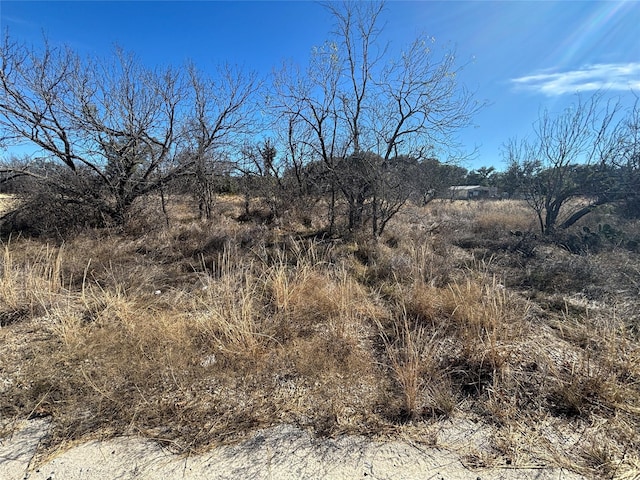 Listing photo 3 for LOT6 County Road 601, Brownwood TX 76801