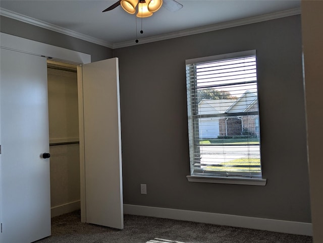 unfurnished bedroom featuring ceiling fan, carpet floors, ornamental molding, and a closet