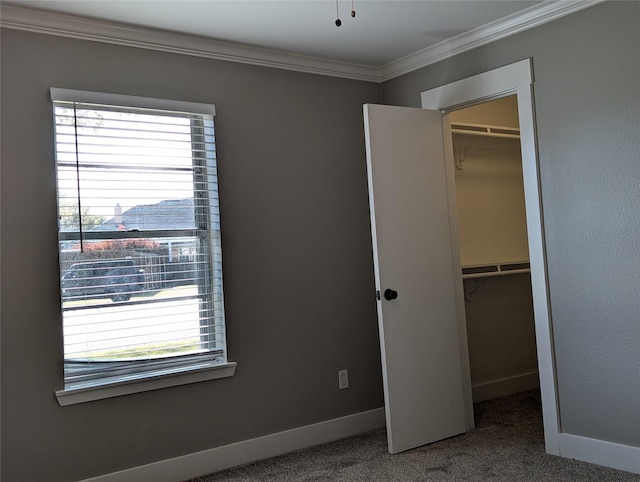 unfurnished bedroom with multiple windows, ornamental molding, a walk in closet, and a closet