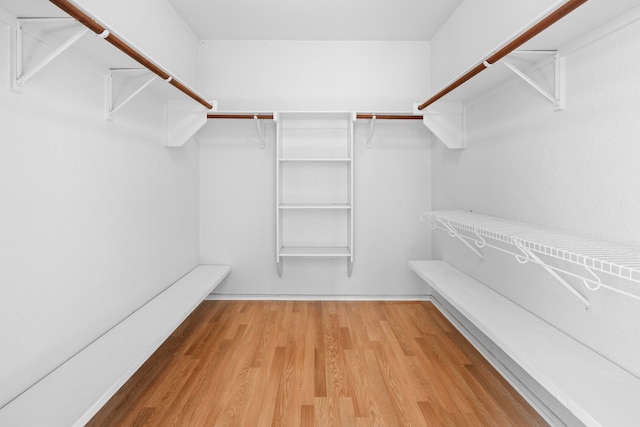 walk in closet featuring wood-type flooring