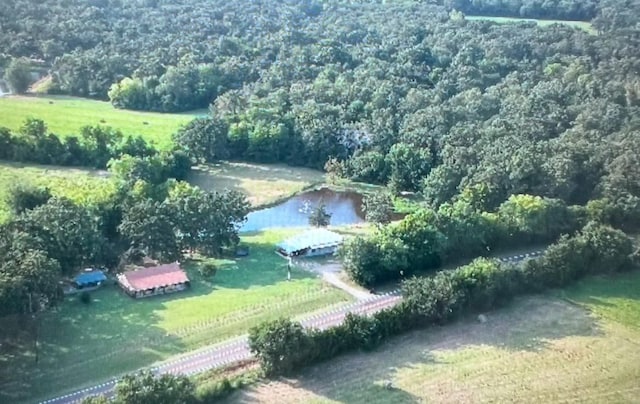 bird's eye view with a water view and a rural view