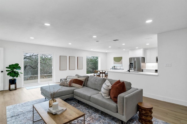 living room with hardwood / wood-style flooring