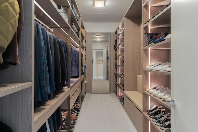 view of spacious closet