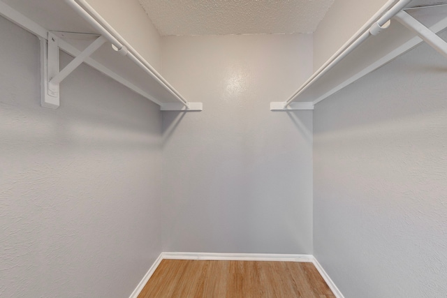 spacious closet featuring wood-type flooring