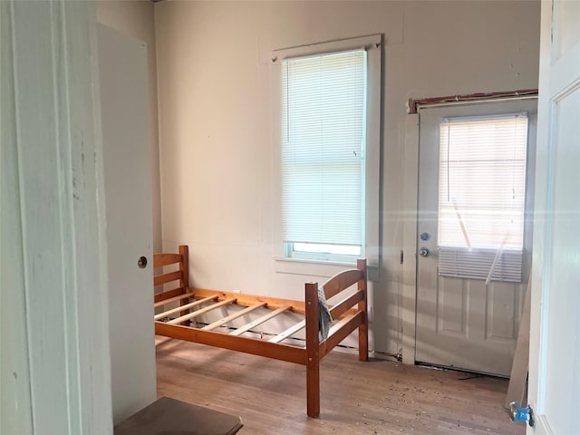 entryway with light hardwood / wood-style flooring and a wealth of natural light