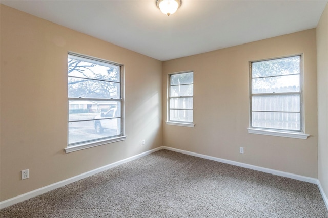 spare room with carpet floors