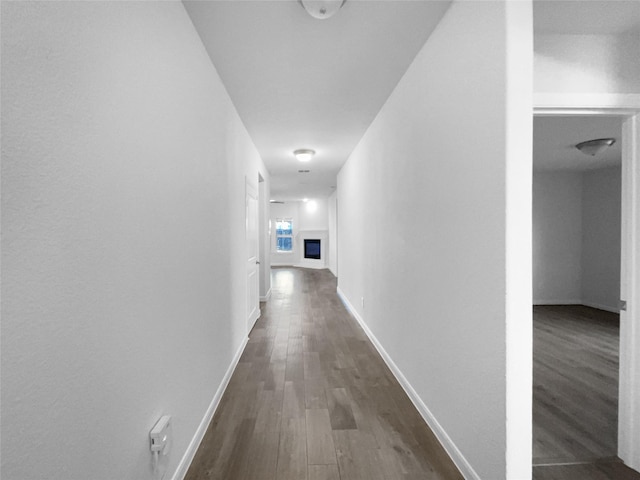 hallway featuring dark hardwood / wood-style flooring