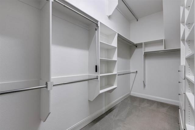 spacious closet featuring carpet floors