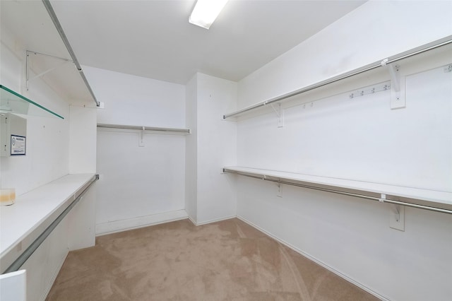 spacious closet featuring light carpet