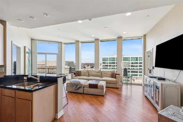 living room featuring light wood-type flooring, expansive windows, and sink