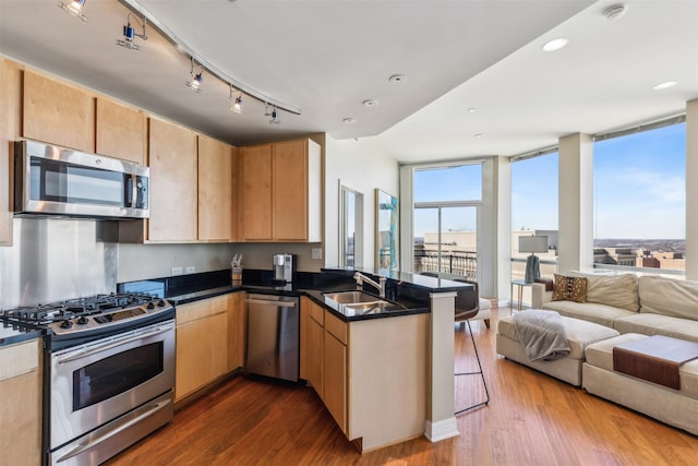 kitchen with floor to ceiling windows, sink, dark hardwood / wood-style floors, kitchen peninsula, and stainless steel appliances