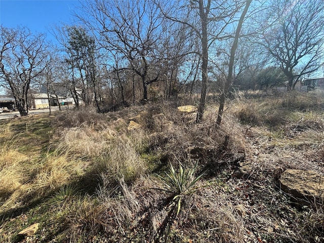 Listing photo 2 for Lot7,8 County Road 607, Brownwood TX 76801