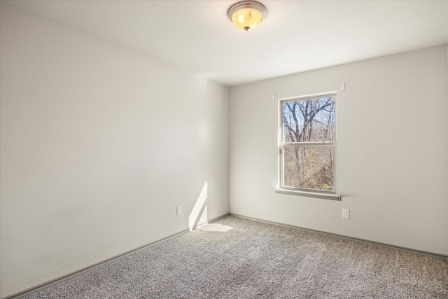 unfurnished room featuring carpet floors