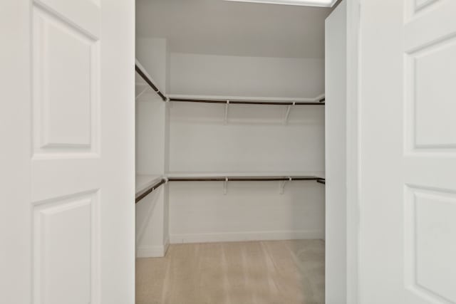 walk in closet featuring light carpet