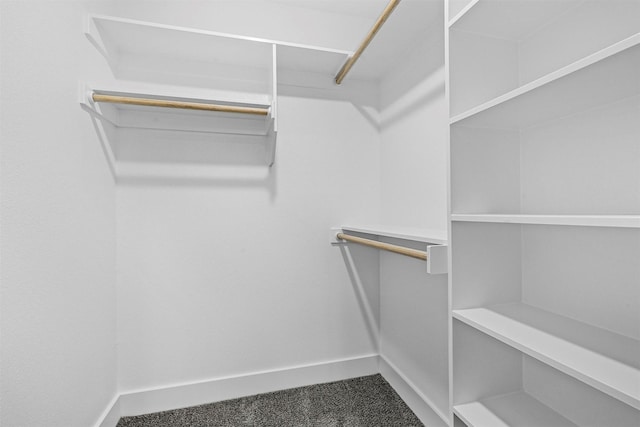 walk in closet featuring carpet flooring