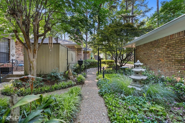 view of yard with a shed