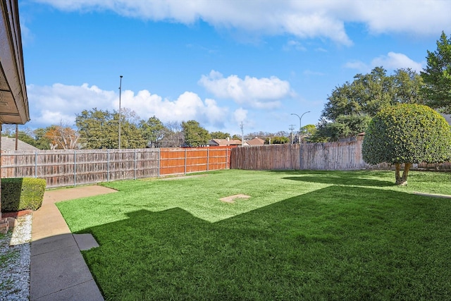 2735 Steamboat Cir, Arlington, TX 76006 - view of yard