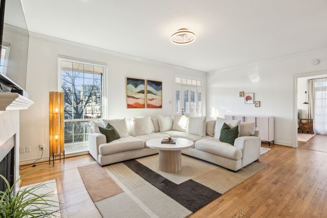 living room featuring radiator heating unit, wood-type flooring, and ornamental molding