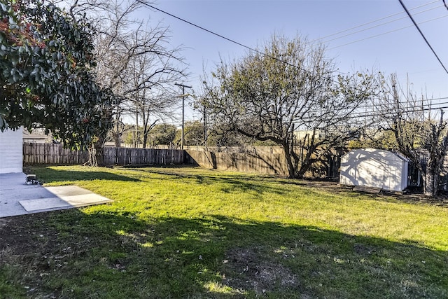 view of yard featuring a storage shed