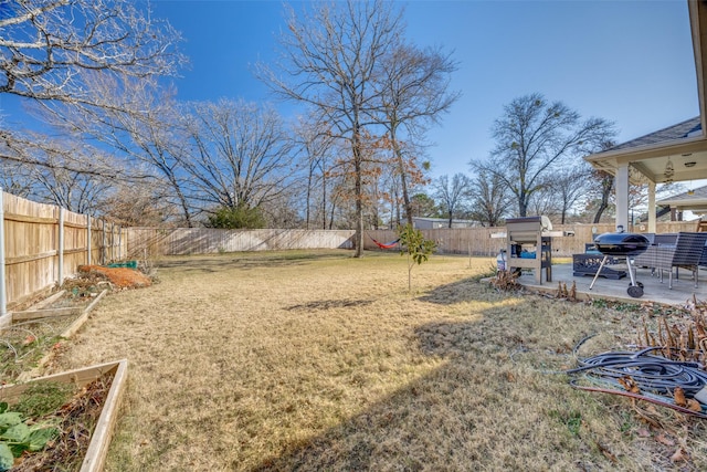 view of yard featuring a patio