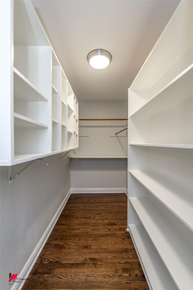 spacious closet featuring dark hardwood / wood-style floors