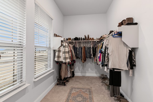 walk in closet featuring carpet flooring