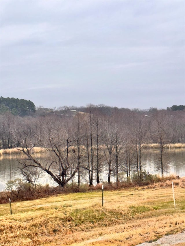 view of water feature with a rural view