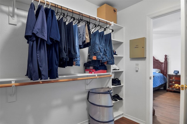 spacious closet featuring wood-type flooring