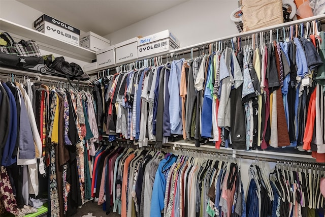 walk in closet featuring carpet floors