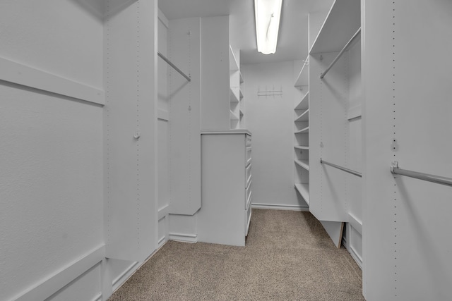 spacious closet featuring carpet flooring