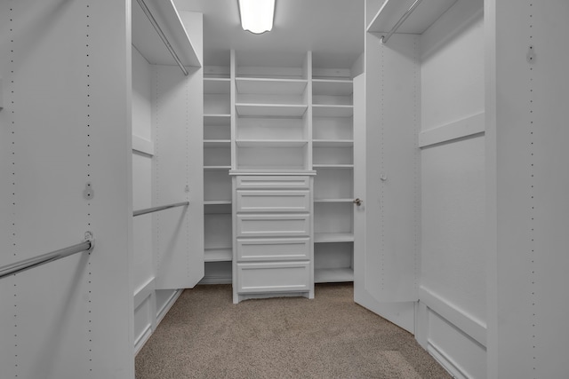 spacious closet featuring light carpet