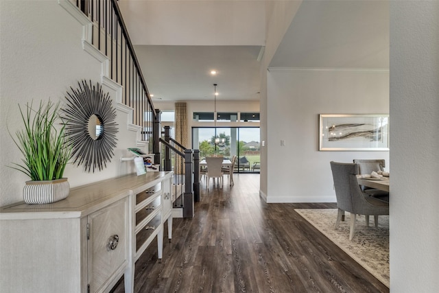 foyer entrance featuring dark hardwood / wood-style floors and ornamental molding