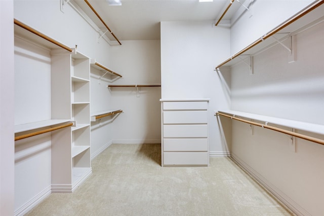 spacious closet with light carpet