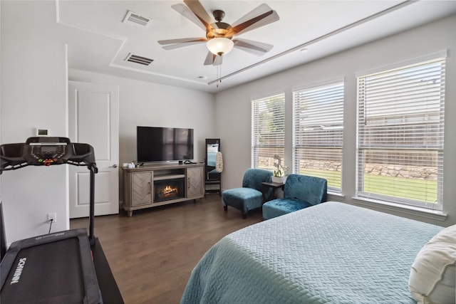 bedroom featuring a raised ceiling, ceiling fan, and dark wood-type flooring