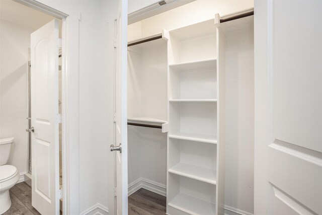 spacious closet featuring hardwood / wood-style flooring