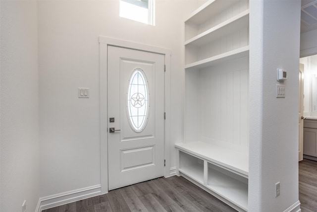 mudroom featuring dark wood-type flooring