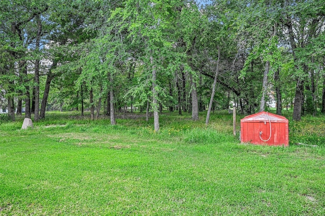 view of yard with a storage unit