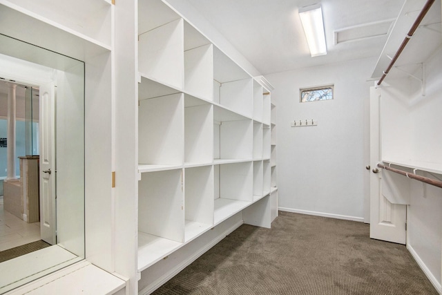 spacious closet featuring dark colored carpet